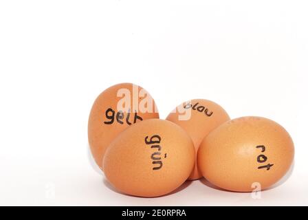 German labeled easter eggs to color on white background horizontal Stock Photo