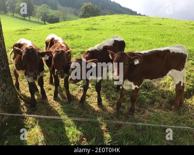 Impressionen vom Tegernsee in Bayern Stock Photo