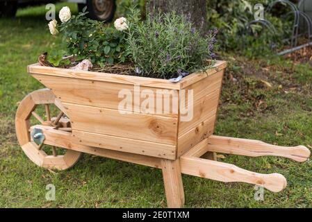 New Wooden Wheelbarrow As A Flower Pot And Garden Design Stock Photo