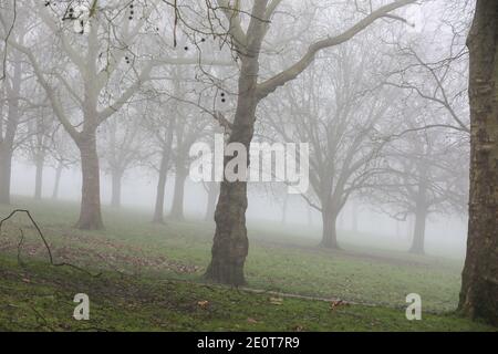 London, UK. 28th Dec, 2020. View of a Finsbury Park during a dense fog in London. Credit: Dinendra Haria/SOPA Images/ZUMA Wire/Alamy Live News Stock Photo