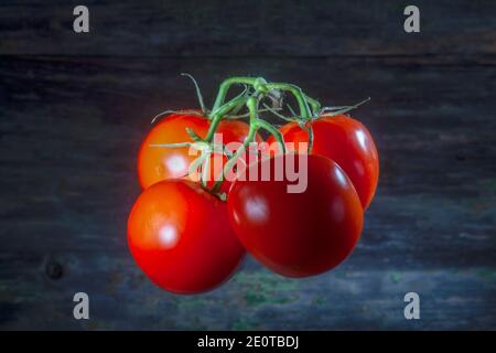 Four Shinny Vivid Red Tomatoes Levitating Infront Background. Invisible Shadow.Kind of Magic. Stock Photo