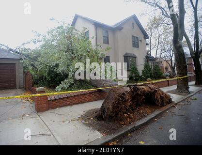 Rains arrive and winds pick up, downing a tree, as people await the full force of Hurricane Sandy in the Bay Ridge section of Brooklyn, New York City, NY, USA, on October 29, 2012.Photo by Brad Barket/ABACAPRESS.COM Stock Photo