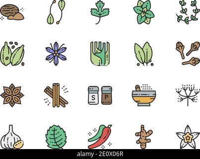 Set of Spice Flat Color Line Icons. Nutmeg, Parsley, Oregano, Cardamom and more. Stock Vector