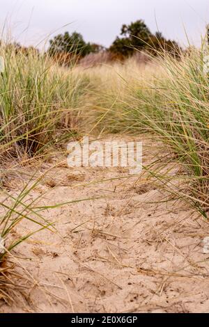 Low Angle View of Trail Through Sand Dunes along the shore of Lake Michigan Stock Photo