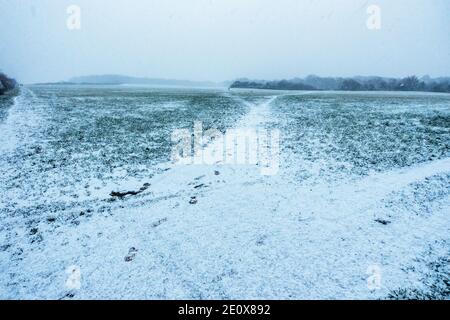 Fresh snow just starting to cover farmers field also covering public right of way paths Stock Photo