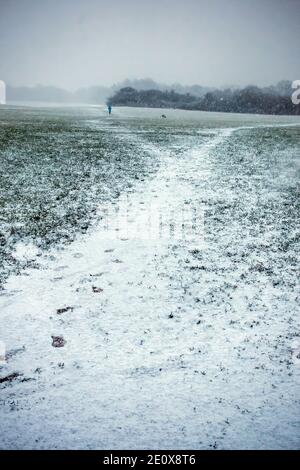 Fresh snow just starting to cover farmers field also covering public right of way paths Stock Photo