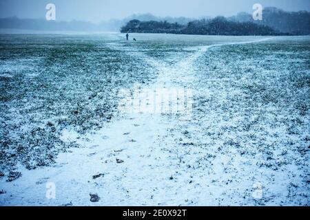Fresh snow just starting to cover farmers field also covering public right of way paths Stock Photo