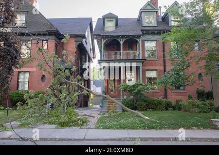 Toronto, Ontario, Canada. 13th June, 2018. A fallen tree during the aftermath.A powerful rainstorm hit Toronto leaving 16,500 households across the city without power, pouring into the iconic Eaton Centre mall. No deaths were recorded. Credit: Shawn Goldberg/SOPA Images/ZUMA Wire/Alamy Live News Stock Photo