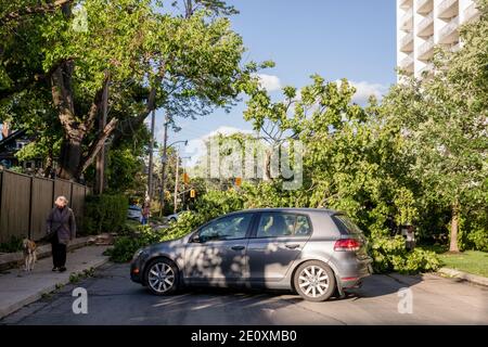 Toronto, Ontario, Canada. 13th June, 2018. A blocked street by fallen trees during the aftermath.A powerful rainstorm hit Toronto leaving 16,500 households across the city without power, pouring into the iconic Eaton Centre mall. No deaths were recorded. Credit: Shawn Goldberg/SOPA Images/ZUMA Wire/Alamy Live News Stock Photo