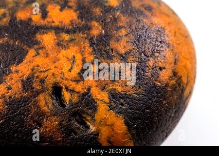 Flint Of The Baltic Sea In A Closeup, Cut Out On White Background Stock Photo