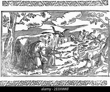 Libro de la monteria, discurso, fol 12, recto, illustration. Stock Photo