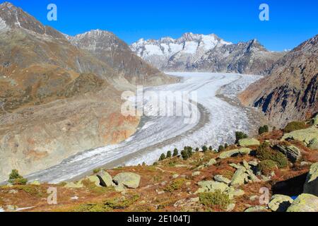 Great Aletsch Glacier and Wannenhorns, Valais, Switzerland, Europe Stock Photo