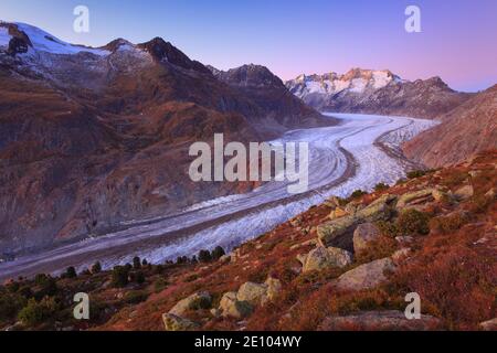 Great Aletsch Glacier and Wannenhorns, Valais, Switzerland, Europe Stock Photo