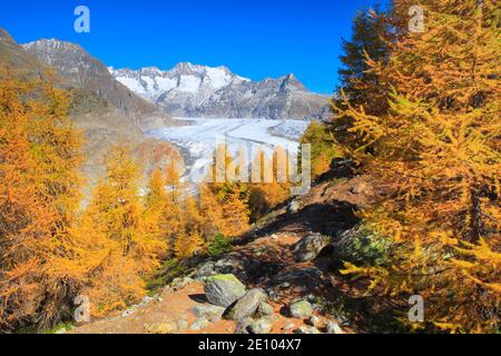 Great Aletsch Glacier and Wannenhorns, Valais, Switzerland, Europe Stock Photo