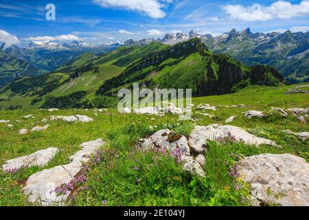 Swiss Alps with Chaiserstock, Fulen and Rossstock, Switzerland, Europe Stock Photo
