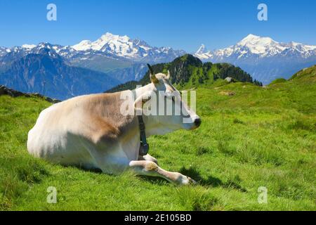 Swiss Alps, Mischabel Group, Matterhorn, Weisshorn, Valais, Switzerland, Europe Stock Photo