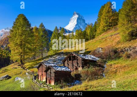 Matterhorn and larch, Valais, Switzerland, Europe Stock Photo