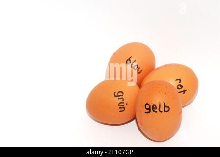 four german labeled eggs for easter on white background Stock Photo