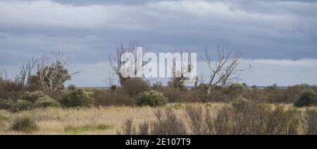 The Gudalhorce river at Natural Park Guadalhorce. Andalusia, Malaga, Spain. Stock Photo