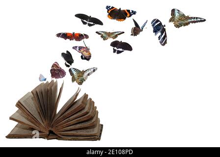 old book with lots of colorful flying butterflies on white background Stock Photo