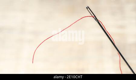 Macro close up with a needle and threaded red thread Stock Photo