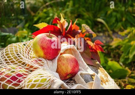 Ripe apples in a string bag healthy food in an eco-friendly container. No plastic. Reusable eco-friendly cotton grocery carrying bag. Stock Photo