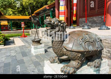 Chinese traditional culture, ancient bronze statue of tortoise in front of New Yuan Ming Palace in Zhuhai, China. Stock Photo
