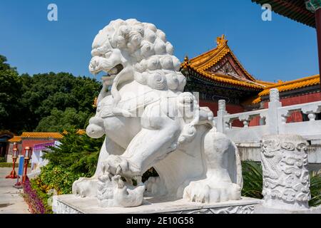 Chinese traditional culture, ancient Chinese marble stone female lion sitting lion in front of New Yuan Ming Palace in Zhuhai, China. Stock Photo