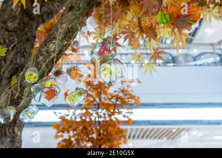 Transparent glass bottles hanging on a maple tree with artificial fall foliages Stock Photo