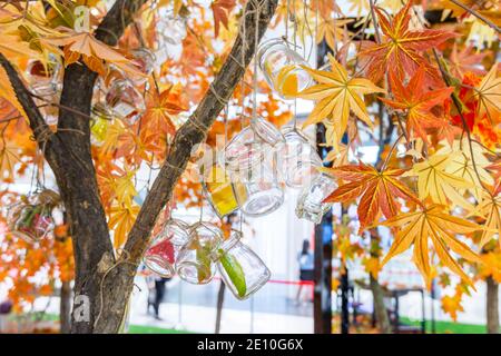 Transparent glass bottles hanging on a maple tree with artificial fall foliages Stock Photo