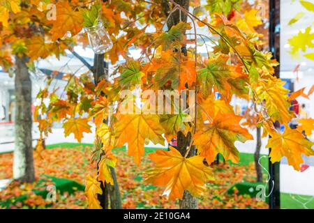 Colorful artificial maple fall foliages Stock Photo