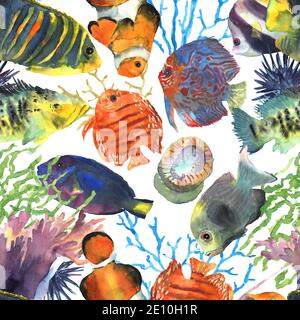 Colorful exotic tropical fishes seamless pattern hand drawn in watercolor for decoration design. Underwater world. Website icon symbol. Stock Photo