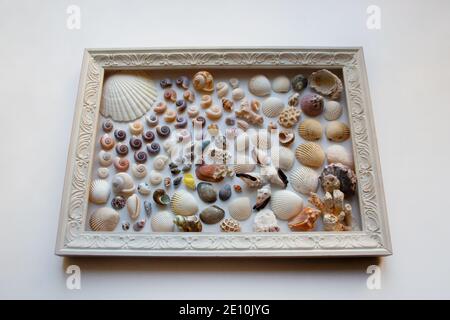 Seashells and corals picture composition in wooden frame isolated on white background Stock Photo