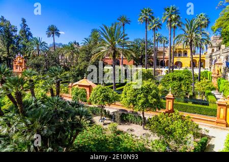 Gardens (Jardin de las Damas, Ladies' Garden) at the Royal Alcázar of Seville, Andalusia, Spain Stock Photo