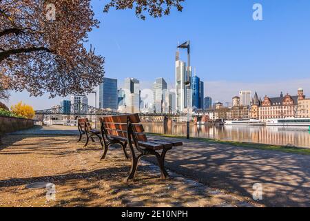 Skyline with skyscrapers of Frankfurt. Financial district with commercial buildings on the day with sunshine. Main riverbank in spring with tree and b Stock Photo