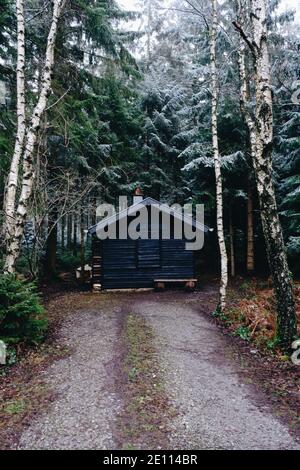 Small cabin in pine tree forest at winter.. Nobody Stock Photo
