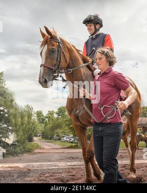 Magdeburg, Germany - 24 June 2017: Assistant leads the horse behind the bridle to the hippodrome. Before the start. Race track in Magdeburg Stock Photo