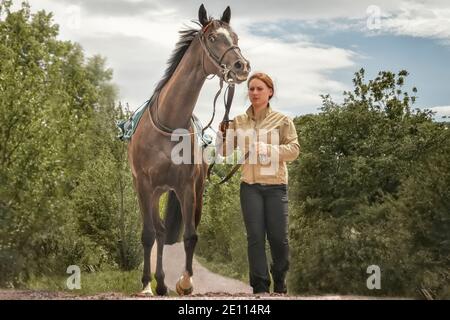 Magdeburg, Germany - 24 June 2017: Assistant leads the horse behind the bridle to the hippodrome. Race track in Magdeburg Stock Photo