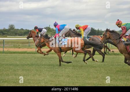 Magdeburg, Germany - 24 June 2017: Horse race. A group of jockeys and racing horses race Stock Photo