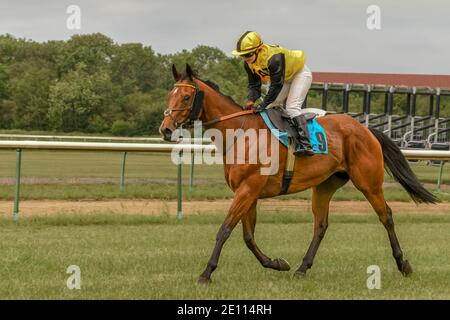 Magdeburg, Germany - 24 June 2017: Girl-jockey is on the red horse. Warm-up before racing. Race track in Magdeburg Stock Photo