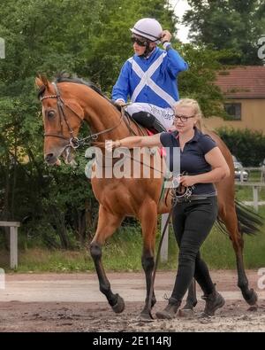 Magdeburg, Germany - 24 June 2017: Assistant leads the horse behind the bridle to the hippodrome. Race track in Magdeburg Stock Photo