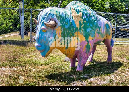 A multicolored,painted, plaster buffalo located ouside an unusual roadside store in Key Largo on the Florida Keys. Stock Photo
