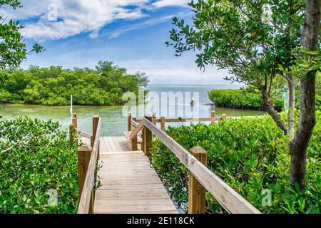 Dock along a mangrove lined inlet on Plantation Key  in the Florida Keys. Stock Photo