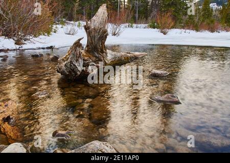 Kananaskis Loretta pound Stock Photo