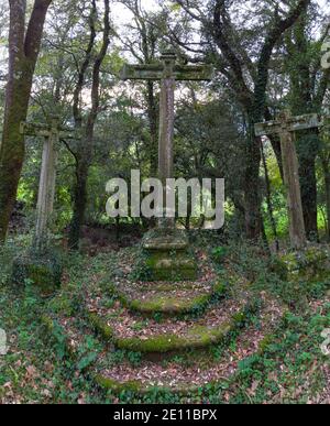 View from a drone of the holm oak and oak forest that surrounds the Church of San Vicente. Guriezo, Cantabria, Spain, Europe Stock Photo