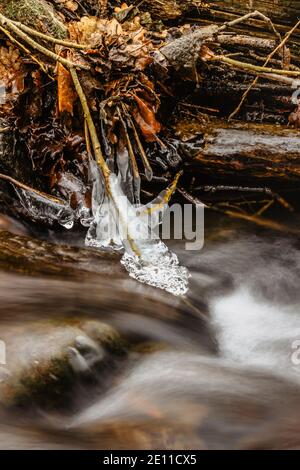 Close up of icicles near wild stream.Snowy winter scenery.Icicle in nature ice background.Cold slippery seasonal weather. Row of frosty icicles.Backgr Stock Photo