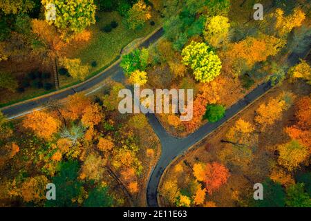 The meadow is surrounded by yellow and green trees, autumn landscape. Drone view. Stock Photo
