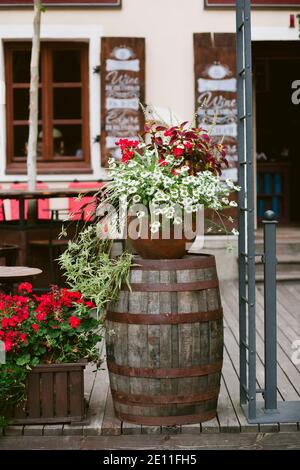 Flowers in the pot on the wooden barrel on the terrace of the cafe. Nature Stock Photo