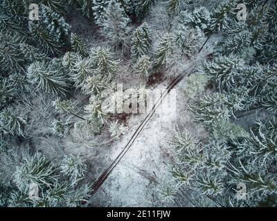 Top down view of a snow covered conifer forest. Birds eye view of a snow covered forest.