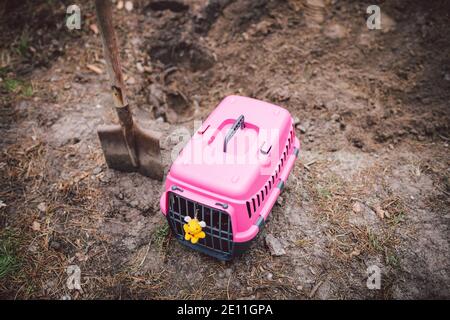 Grave of family's beloved pet, a mound sand. Dreary depressive plot, small animal puppy is buried in the forest, pet carier and toy on freshly dug gra Stock Photo
